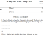 Expert Witness Report Template