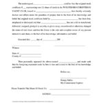 Expert Witness Report Template