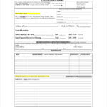 Fake Police Report Template