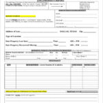 Fake Police Report Template