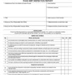 Gmp Audit Report Template