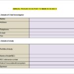 High School Progress Report Template