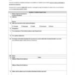 Incident Report Form Template Qld