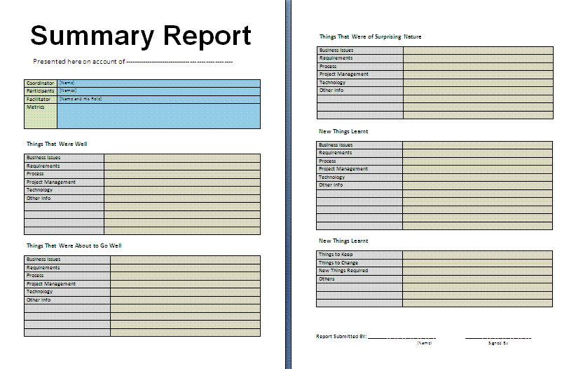 Summary report