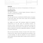 Internal Control Audit Report Template