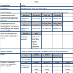 It Management Report Template