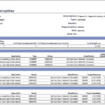 It Management Report Template