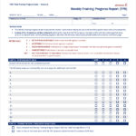 It Progress Report Template