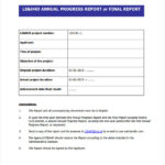 It Progress Report Template