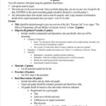 Lab Report Template Chemistry