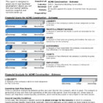 Liquidity Report Template