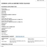 Llc Annual Report Template