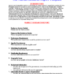 Market Research Report Template