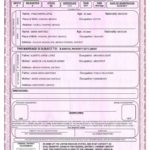 Marriage Certificate Translation Template