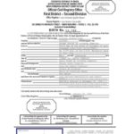 Marriage Certificate Translation Template