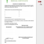 Medical Report Template Free Downloads