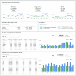 Mi Report Template