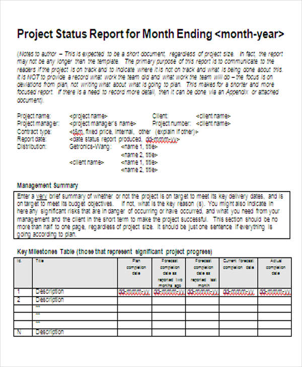 Monthly Project Progress Report Template