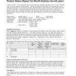 Monthly Project Progress Report Template