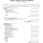 Non Profit Monthly Financial Report Template