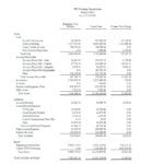 Non Profit Monthly Financial Report Template