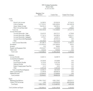 Non Profit Monthly Financial Report Template (4) - TEMPLATES EXAMPLE ...