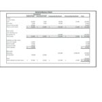 Non Profit Monthly Financial Report Template