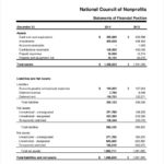 Non Profit Monthly Financial Report Template