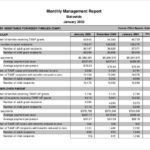 Operations Manager Report Template