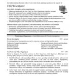 Private Investigator Surveillance Report Template