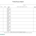 Progress Report Template Doc