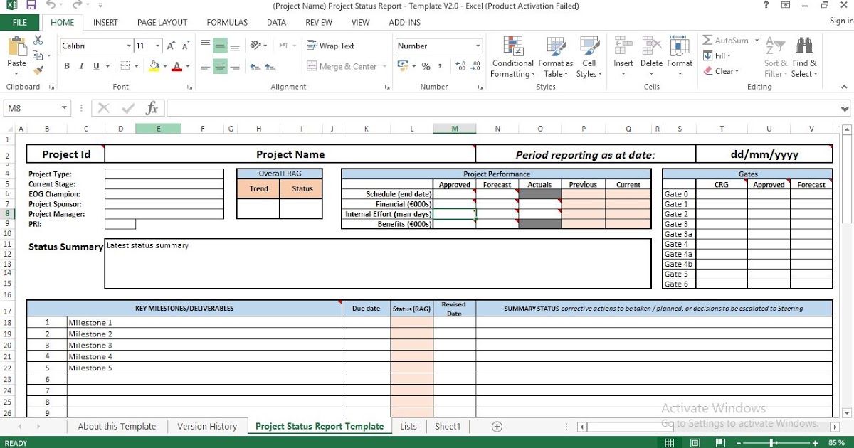 Project Manager Status Report Template