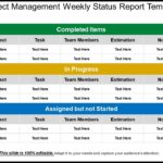 Project Manager Status Report Template