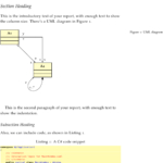 Project Report Latex Template