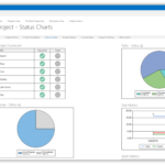 Report To Senior Management Template