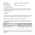 Report To Senior Management Template