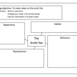 Report Writing Template Ks1