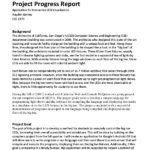 Research Project Progress Report Template