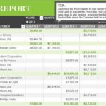 Sale Report Template Excel