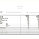 Sales Activity Report Template Excel