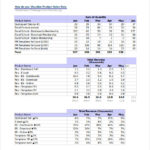Sales Analysis Report Template