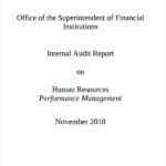 Sample Hr Audit Report Template