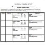 School Progress Report Template