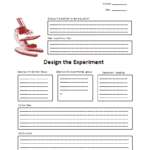 Science Experiment Report Template