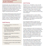 Security Audit Report Template