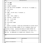 Serious Incident Report Template