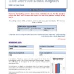 Service Review Report Template