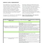 Service Review Report Template