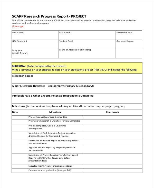 Site Progress Report Template