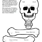 Skeleton Book Report Template